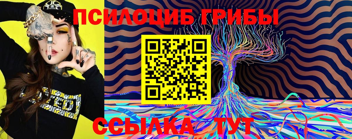 Псилоцибиновые грибы MAGIC MUSHROOMS Сергиев Посад
